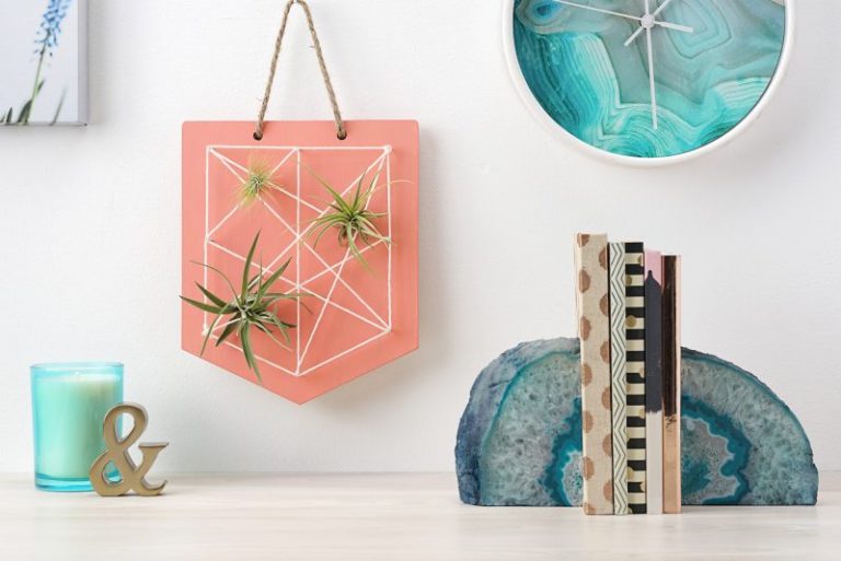 DIY Air Plant String Art- Tutorial With Step By Step Photos