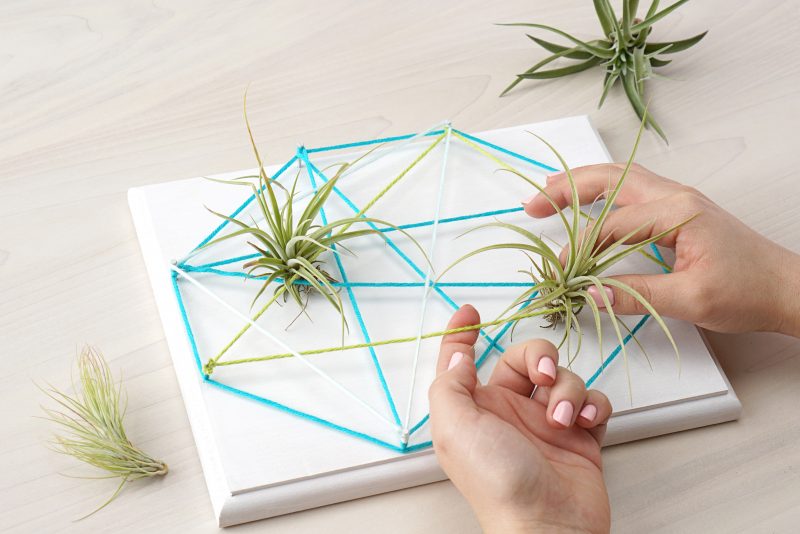 We're combining two of our favorite things-- air plants and string art to create one amazing project! Check out our DIY Air Plant String Art Tutorial to learn how to make this awesome home decor piece that's easy and low maintenance to care for. These would make great handmade housewarming gifts, graduation gifts, teacher gifts, wedding shower gifts and more! #AirPlants #StringArt #DIY #Crafts