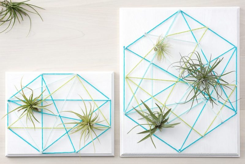 We're combining two of our favorite things-- air plants and string art to create one amazing project! Check out our DIY Air Plant String Art Tutorial to learn how to make this awesome home decor piece that's easy and low maintenance to care for. These would make great handmade housewarming gifts, graduation gifts, teacher gifts, wedding shower gifts and more! #AirPlants #StringArt #DIY #Crafts
