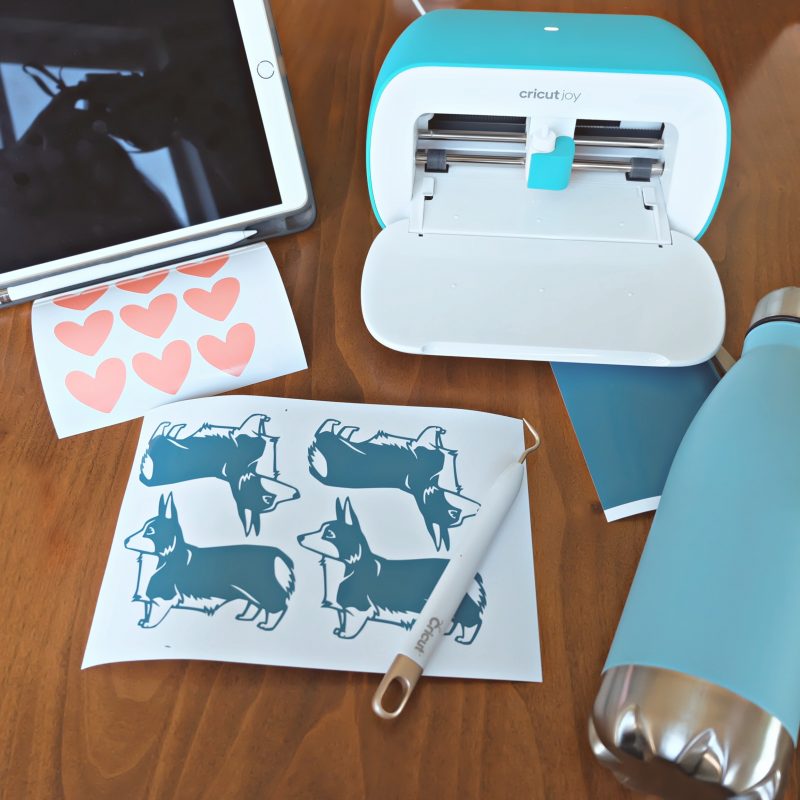 Cricut Joy set up to make a puppy love water bottle. 