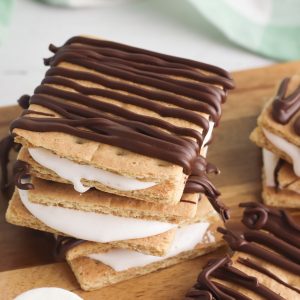 All the flavor of campfire smores without going camping! This No Bake Smores Recipe is a quick and easy, delicious dessert idea that can be made at home in minutes! Chocolate, graham cracker, marshmallow fluff! Who could ask for more? #smores #Dessert #EasyDessert #DessertIdea #CampingBirthday #homemade #Recipe #Marshmallow