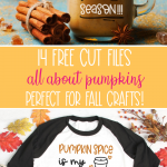 Get started with fall crafting with your Cricut or Silhouette! Here's 14 free pumpkin SVG Cut Files that you can use for autumn crafts! From Pumpkin Spice, to Pumpkin Patch decor to Pumpkin Maternity Shirts-- We've got you covered! #Fall #Autumn #Crafts #SVGFiles #CutFiles #Cricut #Silhouette #CricutCreated #CricutMade #handmade #Halloween #PumpkinCrafts #PumpkinSpice