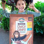 Make a cereal box costume using materials that you already have on hand including a cardboard box, glue from a glue gun and ribbon! Our costume features the adorable Choco Chimps cereal box! A fun, adorable and environmentally friendly halloween costume idea! #Halloween #Chimp #HalloweenCostume #DIYCostume #Handmade #Cereal