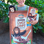 Make a cereal box costume using materials that you already have on hand including a cardboard box, glue from a glue gun and ribbon! Our costume features the adorable Choco Chimps cereal box! A fun, adorable and environmentally friendly halloween costume idea! #Halloween #Chimp #HalloweenCostume #DIYCostume #Handmade #Cereal