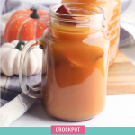 You've tried a pumpkin spice latte, but have you tried pumpkin spice apple cider? This easy crockpot recipe takes just 5 minutes of prep. Let it simmer in your slow cooker or instant pot and smell the scents of cinnamon, apple and nutmeg fill your home! The yummiest fall beverage you could ever imagine! Drink it all winter long! #Cider #Recipe #applecider #pumpkinspice #crockpotdrink #crockpot #slowcooker slowcookerrecipe