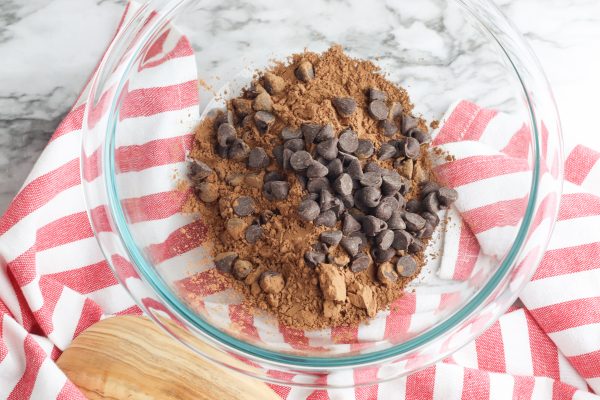 In a medium bowl, combine the cocoa powder and chocolate chips.