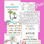 Take a virtual tropical getaway with this this free Rainforest Activity Sheets Printable from Hello Creative Family and EnviroKidz! Includes two jungle coloring sheets, a maze, match games, patterns and tropical crossword puzzles. A fun jungle activity pack for elementary school aged kids!