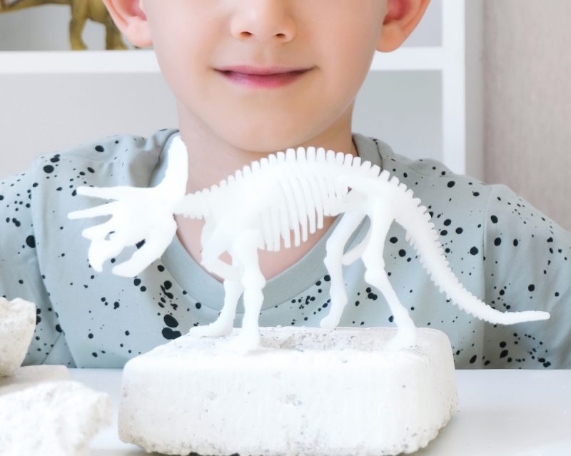 boy is engaged in the excavation of dinosaurs. Educational game with children. A child digs up the bones of a dinosaur. development of perseverance and fine motor skills. Happy boy