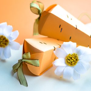 Carrot Easter Egg Boxes From See Lindsay