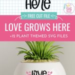 Get your craft on with 12 free plant svg files! With cute sayings like Love Grows Here, I'm A Succa For You and Aloe Gorgeous, these free cut files are perfect for Cricut crafting! Make DIY gifts for gardeners and plant lovers in your life. We even have a few funny cut files for those who weren't blessed with a green thumb!