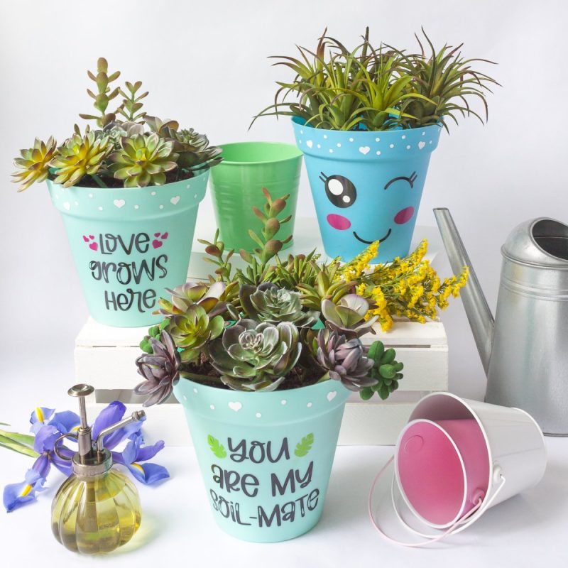 Potted succulent project from The Unofficial Book of Handmade Cricut Crafts with adorable, decorated succulent flowerpots.
