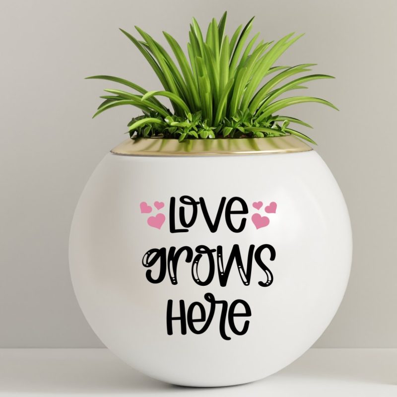 Potted plant with the word Love Grows Here applied on front, cut from vinyl using a Cricut cutting machine. Free plant svg file from Hello Creative Family