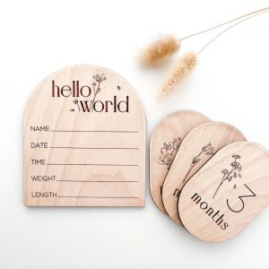 Hello World Sign and Pregnancy/Baby Milestone Signs Cut Files From Minimal Modern Market
