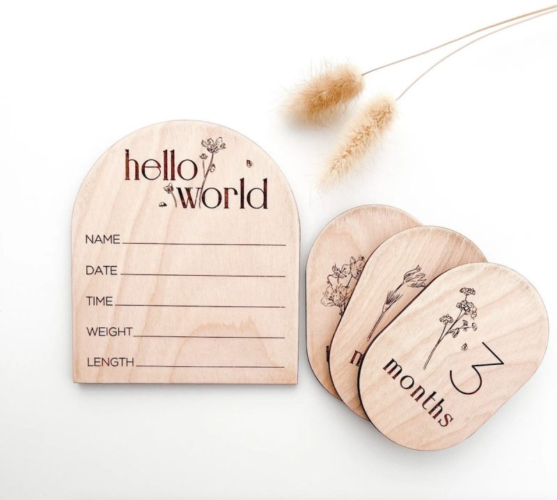 Hello World Sign and Pregnancy/Baby Milestone Signs Cut Files From Minimal Modern Market