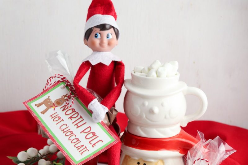 Elf on the Shelf sitting with hot chocolate mug and Hot Chocolate gift. 