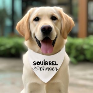 Squirrel Chaser SVG From The Girl Creative