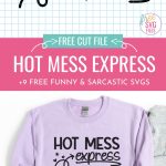 Get ready to tickle that funny bone! We've got 9 Free Sarcastic and Funny SVG files for you to use with your Cricut cutting machine including a Hot Mess Express SVG! Use these designs to make shirts, hoodies, mugs, stickers and so much more!