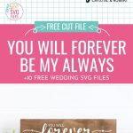 Say 'I do' to creativity with our top 10 free wedding SVG files for Cricut! Perfect for adding a personal touch to your special day or anniversary celebration. Make your big day unforgettable with your Cricut Maker, Cricut Explore, Cricut Venture or Cricut Joy and these cut files.