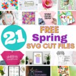 Collage of 21 Free Spring SVG Files
