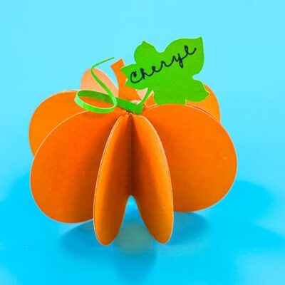 Pretty Pumpkin Place Card From That's What Che Said