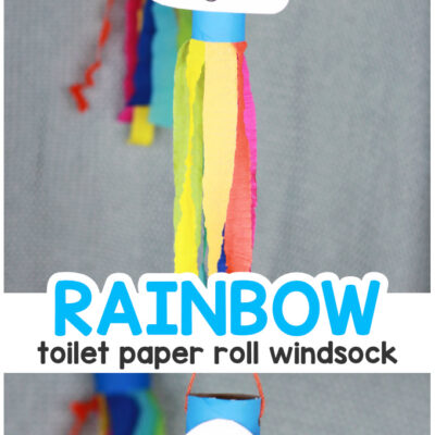 Rainbow Windsock Toilet Paper Roll Craft From Easy Peasy and Fun