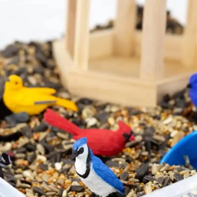 Bird Sensory Bin by Fireflies & Mud Pies