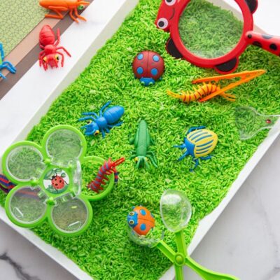 Bug Sensory Bin by The Best Ideas for Kids