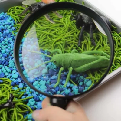 Insect Activity For Preschool: Sensory Bin by Simple Everyday Mom