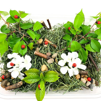 Ladybug Sensory Bin by Attachment Mummy