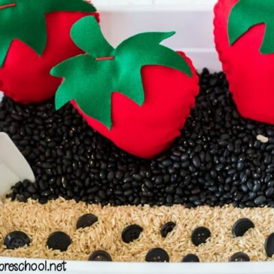 Strawberry Math Sensory Bin by Homeschool Preschool