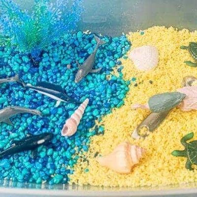Beach Sensory Bin by Lorena & Lennox