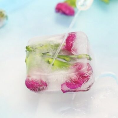 Ice Flower Sensory Bin Idea from Little Bins For Little Hands