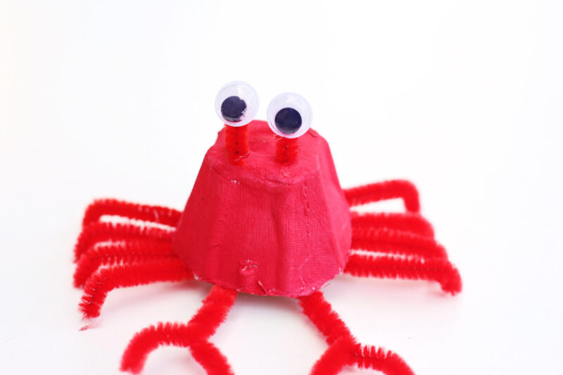 Glue Eyes to the end of the pipe cleaner and attach. 