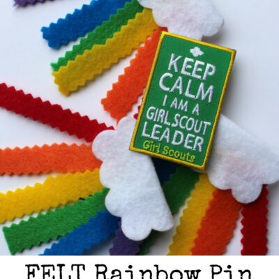 Felt Rainbow Bridging Pin SWAPS Idea From Kunin Felt