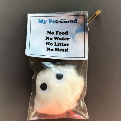 My Pet Cloud SWAPS Idea