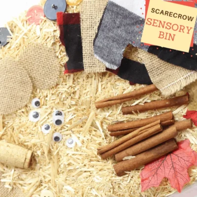 Build a Scarecrow Sensory Bin by 3 Boys and a Dog