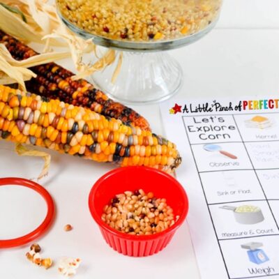 Corn And Popcorn Fall Science & Sensory Play by A Little Pinch of Perfect