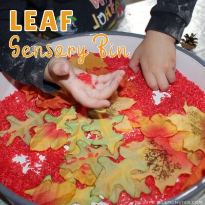 Fall Leaf Sensory Bin by Messy Little Monster