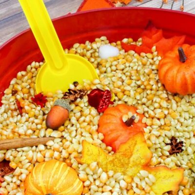 Fall Sensory Bin for Toddlers and Preschoolers by Natural Beach Living