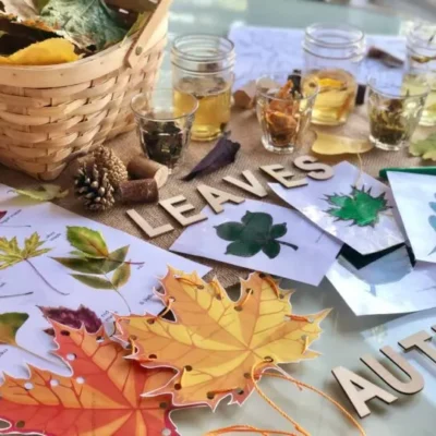 Fun Sensory Play with Changing Leaves Activities by Lil Tigers