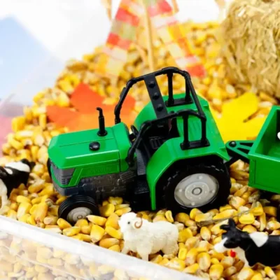 Harvest Sensory Bin by Fireflies & Mud Pies