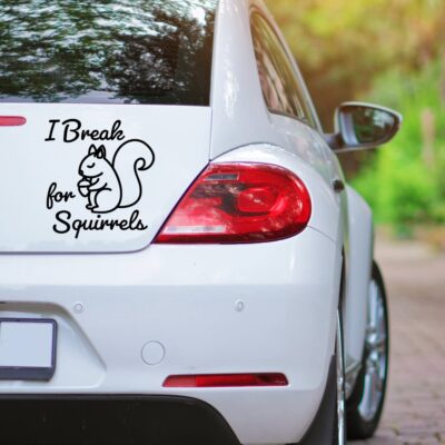 I Break for Squirrels SVG From Harper N Co
